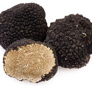 Mirko Tartufi | Uncinato