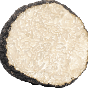 Mirko Tartufi | Tuber Aestivum Vittadini