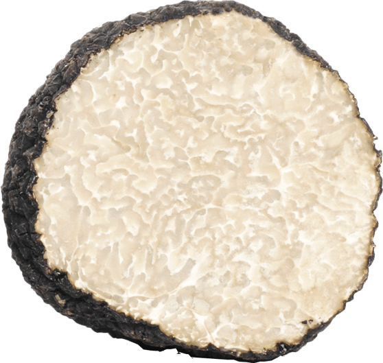 Mirko Tartufi | Tuber Aestivum Vittadini