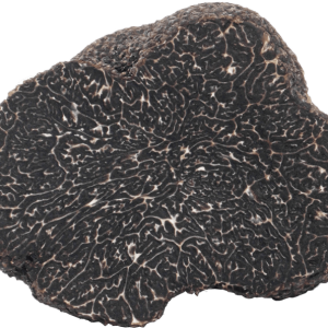 Mirko Tartufi | Tuber Melanosporum Vittadini