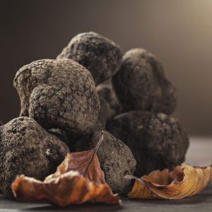 Fresh truffle